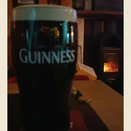 Coosan Ecolodge 3* Athlone